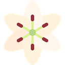 nature, lily, Flower, blossom, Botanical, petals Cornsilk icon