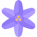 Botanical, blossom, petals, nature, Flower, bluebell MediumPurple icon