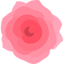 Flower, blossom, petals, nature, rose, Botanical LightPink icon