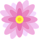 nature, blossom, petals, Botanical, Flower, Nymphea Plum icon