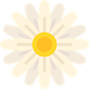 Botanical, nature, daisy, blossom, petals, Flower Cornsilk icon