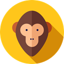 zoo, Wild Life, Animals, Animal Kingdom, monkey Gold icon