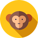 Animals, Wild Life, Animal Kingdom, monkey, zoo Gold icon