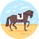 equine, Hippic, sports, Sports And Competition, horse, Olympic Games, equestrian PaleTurquoise icon