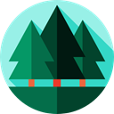 landscape, nature, Forest, trees, pines, woods PaleTurquoise icon