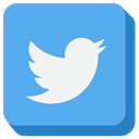 twitter, social media CornflowerBlue icon