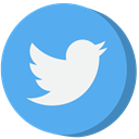 social media, twitter CornflowerBlue icon
