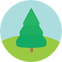 nature, garden, gardening, ecology, yard, Botanical, Tree PowderBlue icon