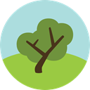 Tree, nature, garden, gardening, ecology, yard, Botanical PowderBlue icon