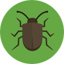 bug, insect, Animals, beetle, Animal Kingdom OliveDrab icon