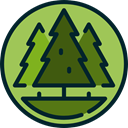 pines, Park, woods, Pine, trees, nature, Forest YellowGreen icon