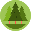 Pine, trees, pines, nature, Forest, Park, woods YellowGreen icon