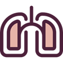 medical, organ, Lungs, Breath, Anatomy, Lung, Healthcare And Medical DarkSlateGray icon