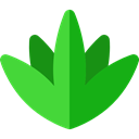 plant, Silhouette, nature, Mexico, Plants, Mexican, Mexico Icons, Agave, Agaves ForestGreen icon