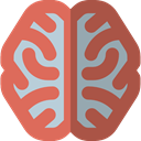 people, medical, Brain, Body Part, Body Organ, Human Brain, Healthcare And Medical IndianRed icon