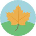 maple leaf, Botanical, plant, Leaf, nature, garden LightBlue icon