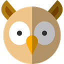 bird, hunter, owl, Animals, Wild Life, Animal Kingdom BurlyWood icon