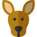 zoo, Animals, kangaroo, Wild Life, Animal Kingdom, Marsupial DarkGoldenrod icon