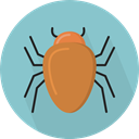 bug, insect, Animals, beetle, Animal Kingdom SkyBlue icon
