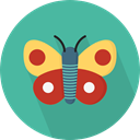 insect, butterfly, Animals, Moths CadetBlue icon