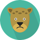 zoo, Animals, Wild Life, Cheetah, Animal Kingdom CadetBlue icon