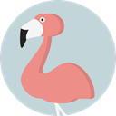 bird, zoo, Animals, Flamingo, wildlife, Animal Kingdom LightGray icon