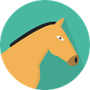 horse, zoo, Animals, Wild Life, Animal Kingdom CadetBlue icon