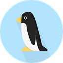 Penguin, zoo, Animals, Wild Life, Animal Kingdom PaleTurquoise icon