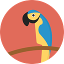 bird, zoo, parrot, Animals, Wild Life, Animal Kingdom IndianRed icon