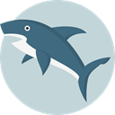 Animal, shark, Animals, Aquarium, Aquatic, Sea Life LightGray icon