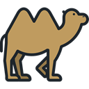 Camel, zoo, Animals, Wild Life, Animal Kingdom, Animal DarkKhaki icon