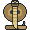 snake, Animal, cobra, poison, Animals, dangerous, venom DarkSlateGray icon