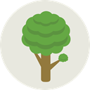 Tree, nature, garden, Forest, Pine, trees, yard, Botanical Gainsboro icon