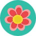 Flower, nature, petals, blossom, Botanical LightSeaGreen icon