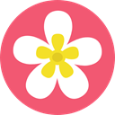 Flower, nature, petals, blossom, Botanical Salmon icon