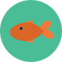 fish, ocean, Animals, Aquarium, Aquatic, Sea Life CadetBlue icon