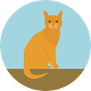 Cat, pet, Animals, Animal Kingdom LightBlue icon