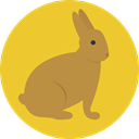 Bunny, zoo, Animals, rabbit, mammal, Wild Life, Animal Kingdom Goldenrod icon