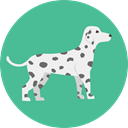 dog, pet, Animals, Breed, Dalmatia CadetBlue icon