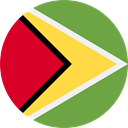 Nation, world, flag, Guyana, flags, Country OliveDrab icon