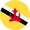 world, flag, Brunei, flags, Country, Nation SandyBrown icon