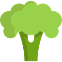 Broccoli, Healthy Food, Food And Restaurant, vegetables, Foods, vegetarian, vegan, food, Supermarket, vegetable YellowGreen icon