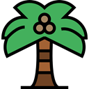 summer, tropical, Summertime, Palm Tree, Botanical, Ecology And Environment, nature, Beach MediumSeaGreen icon