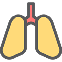 medical, Lung, Healthcare And Medical, organ, Lungs, Breath, Anatomy Khaki icon