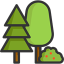 nature, landscape, Forest, woods, trees, pines YellowGreen icon