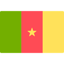 world, flag, Cameroon, flags, Country, Nation Khaki icon
