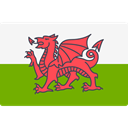world, flag, Wales, flags, Country, Nation Olive icon