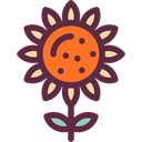 Flower, nature, sunflower, petals, blossom, Botanical DarkSlateGray icon