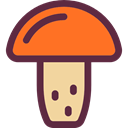 food, Mushroom, nature, Fungi, Muscaria, Food And Restaurant DarkSlateGray icon