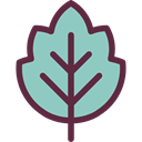 plant, Leaf, nature, leave, garden, leaves, Botanical SkyBlue icon